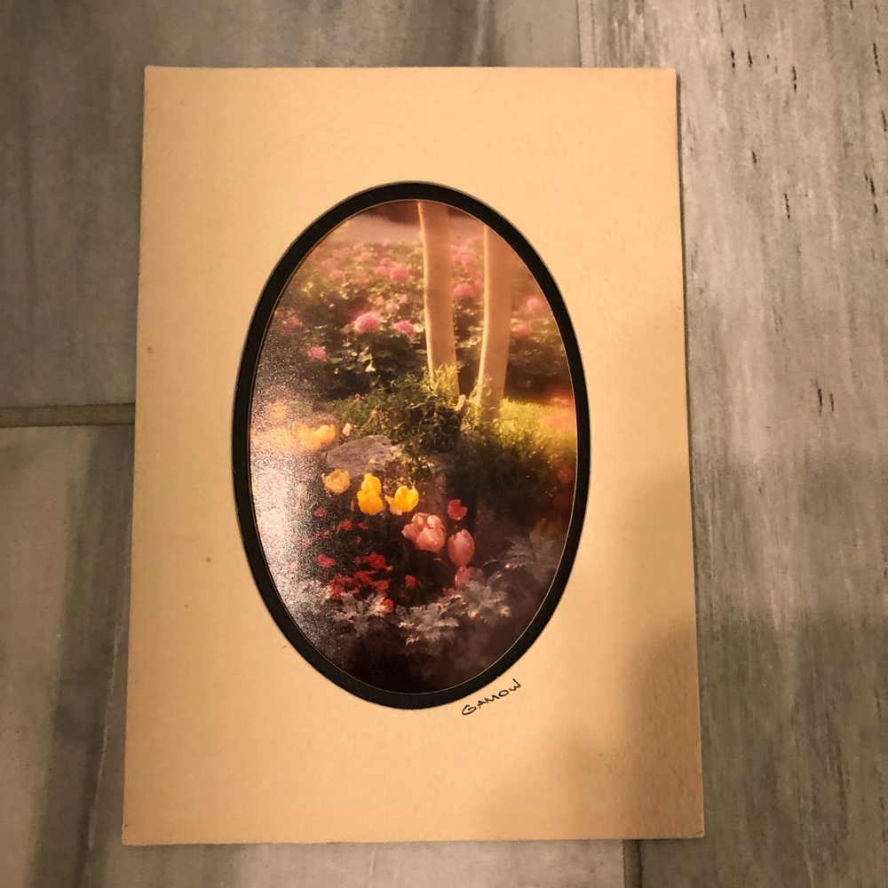 VTG Barry Gamow signed photograph - flowers